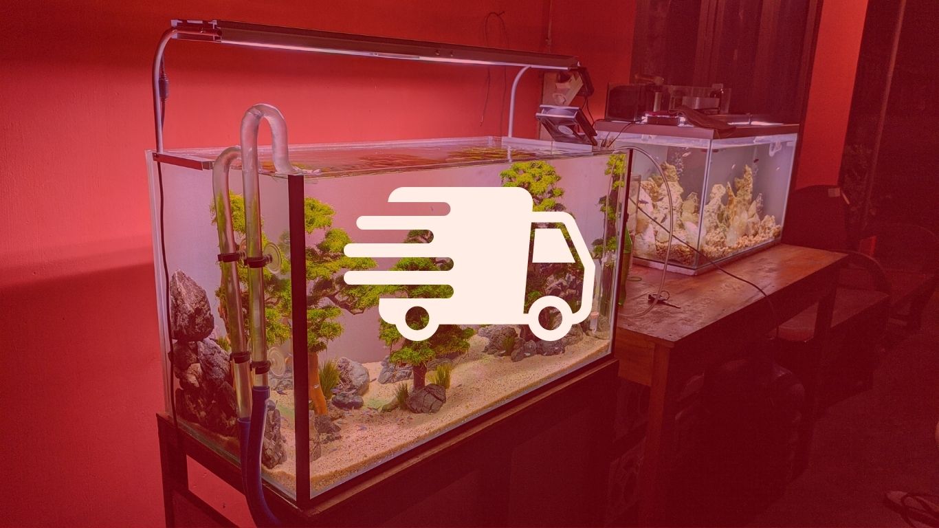 Moving With Large Aquariums