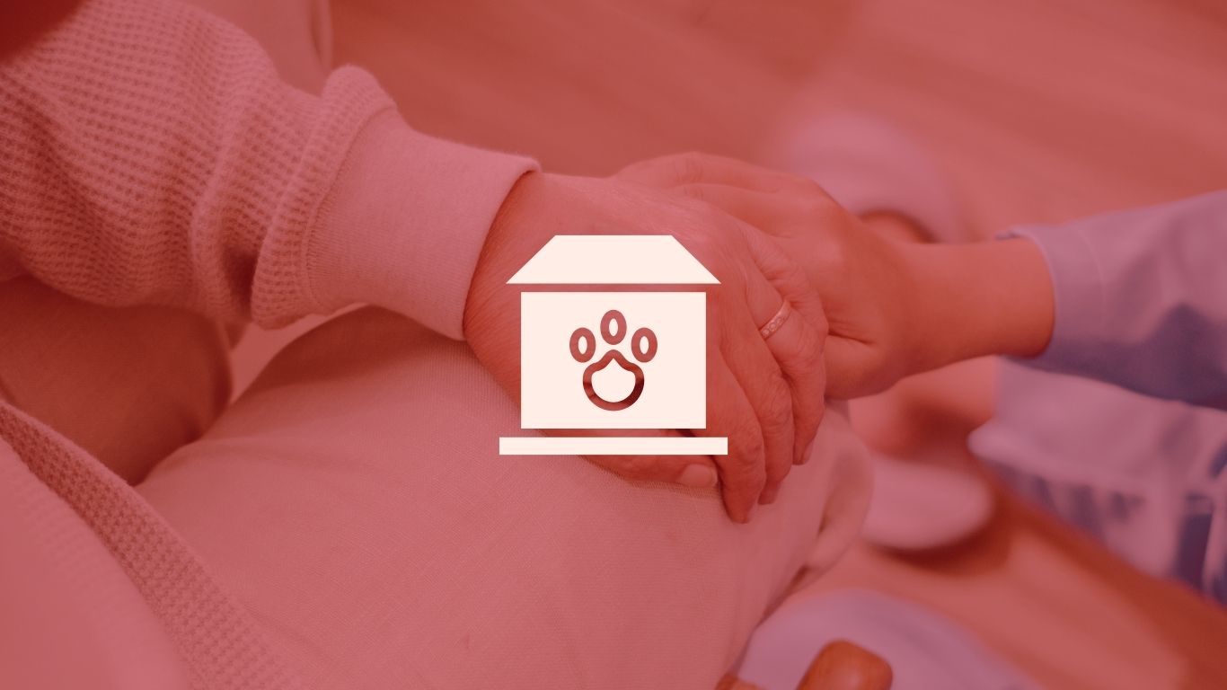 Moving with an elderly pet