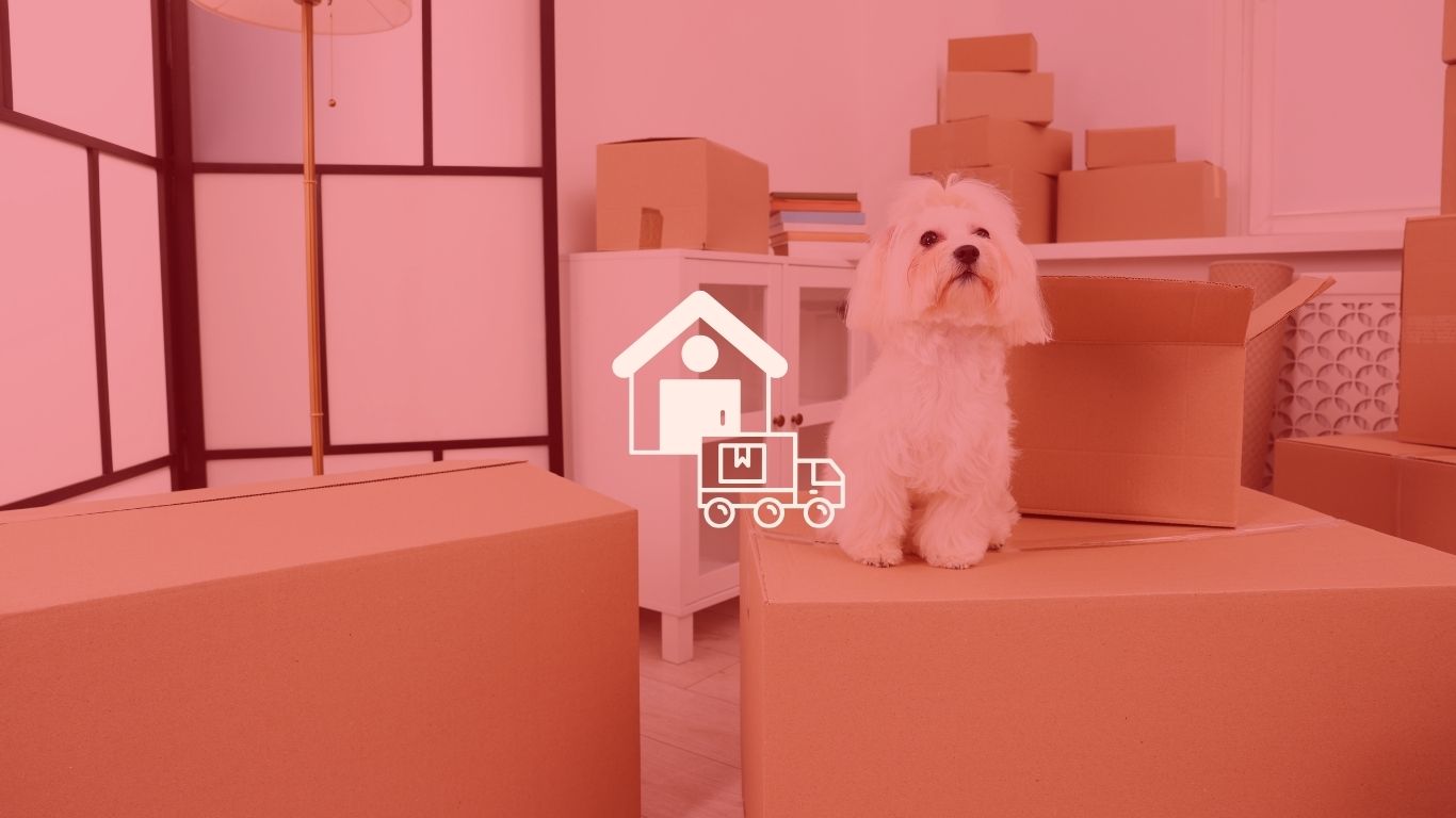 Trusted Packers and Movers