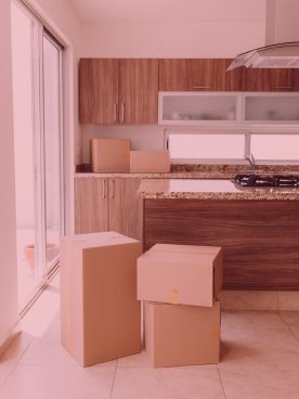 international packer and mover