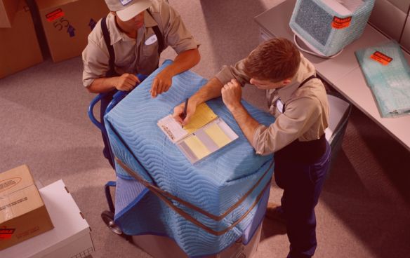 international packer and mover