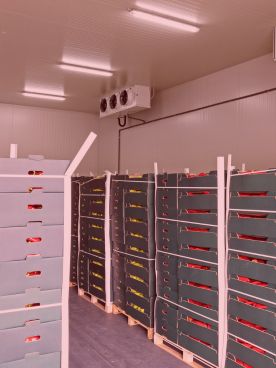 Office storage